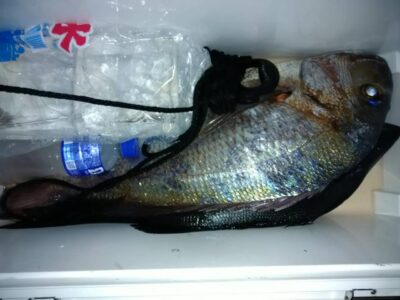 IMG_1697.jpeg