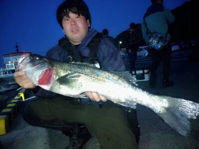 IMG_1801.jpeg