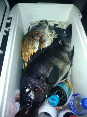 IMG_1815.jpeg