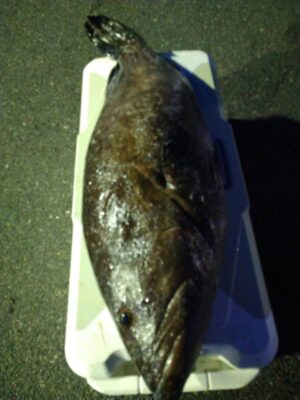 IMG_1817.jpeg