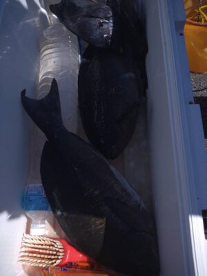 IMG_2005.jpeg